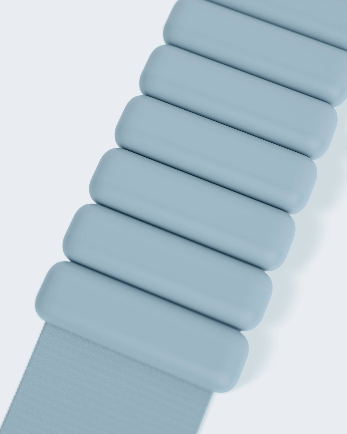 Bala Bangles 2 lb Ankle / Wrist Weight