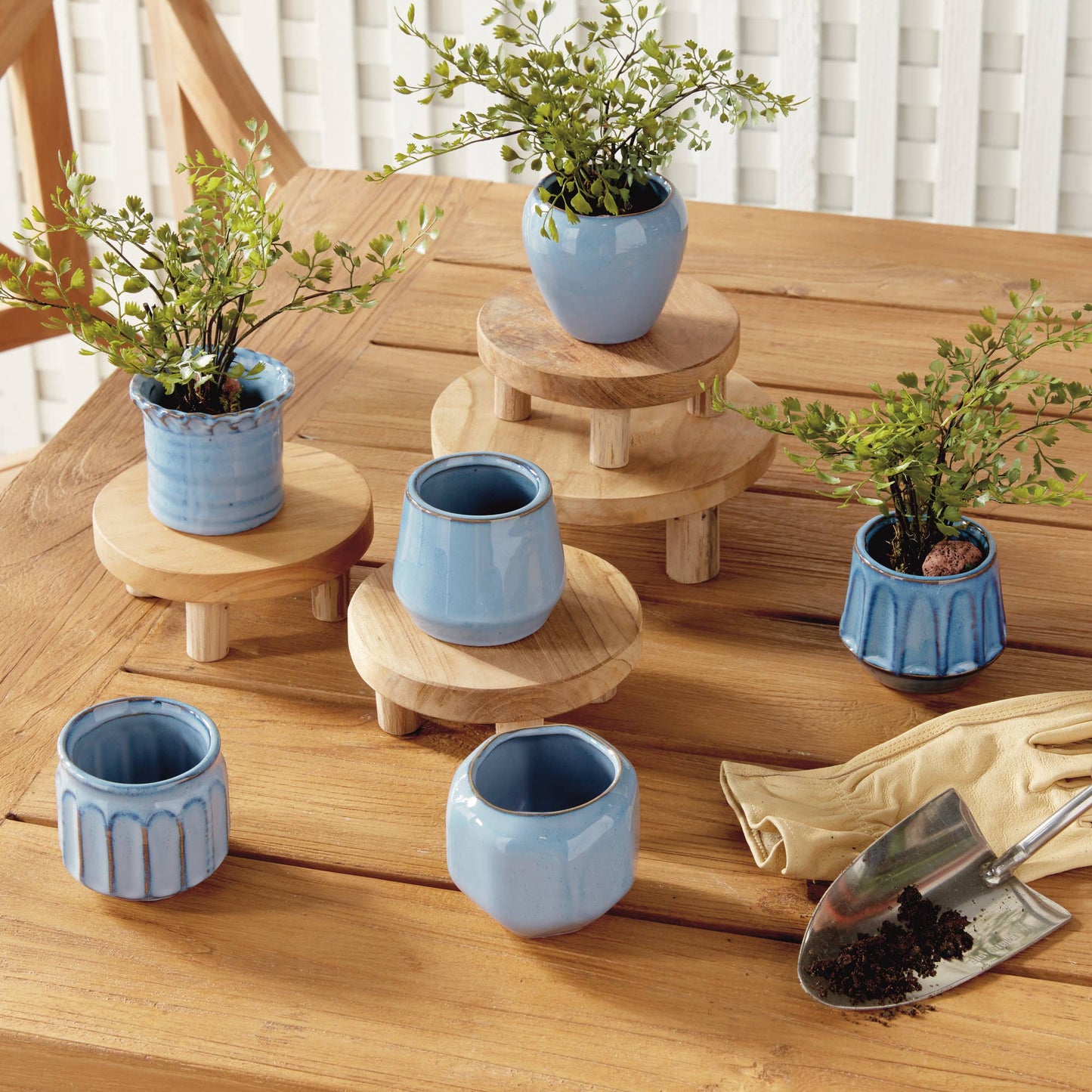 Dezie Mini Pots Set of 6