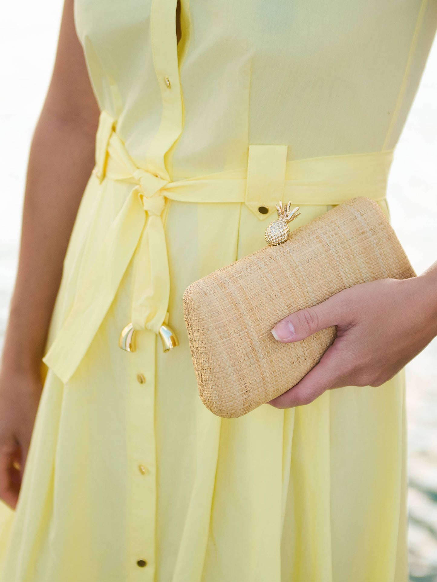 Pina Minaudiere
