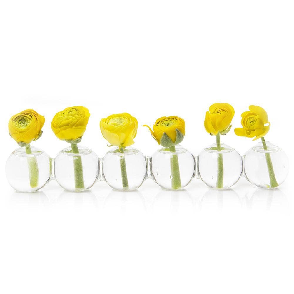 Caterpillar Clear Glass Bud Vase - Small