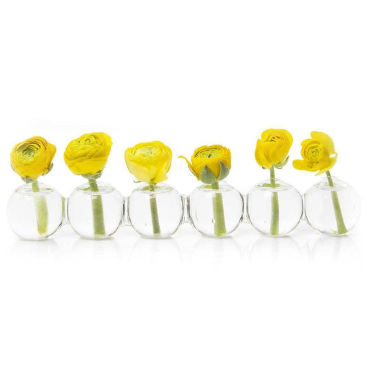 Caterpillar Clear Glass Bud Vase - Small