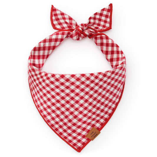 Red Gingham Summer Dog Bandana