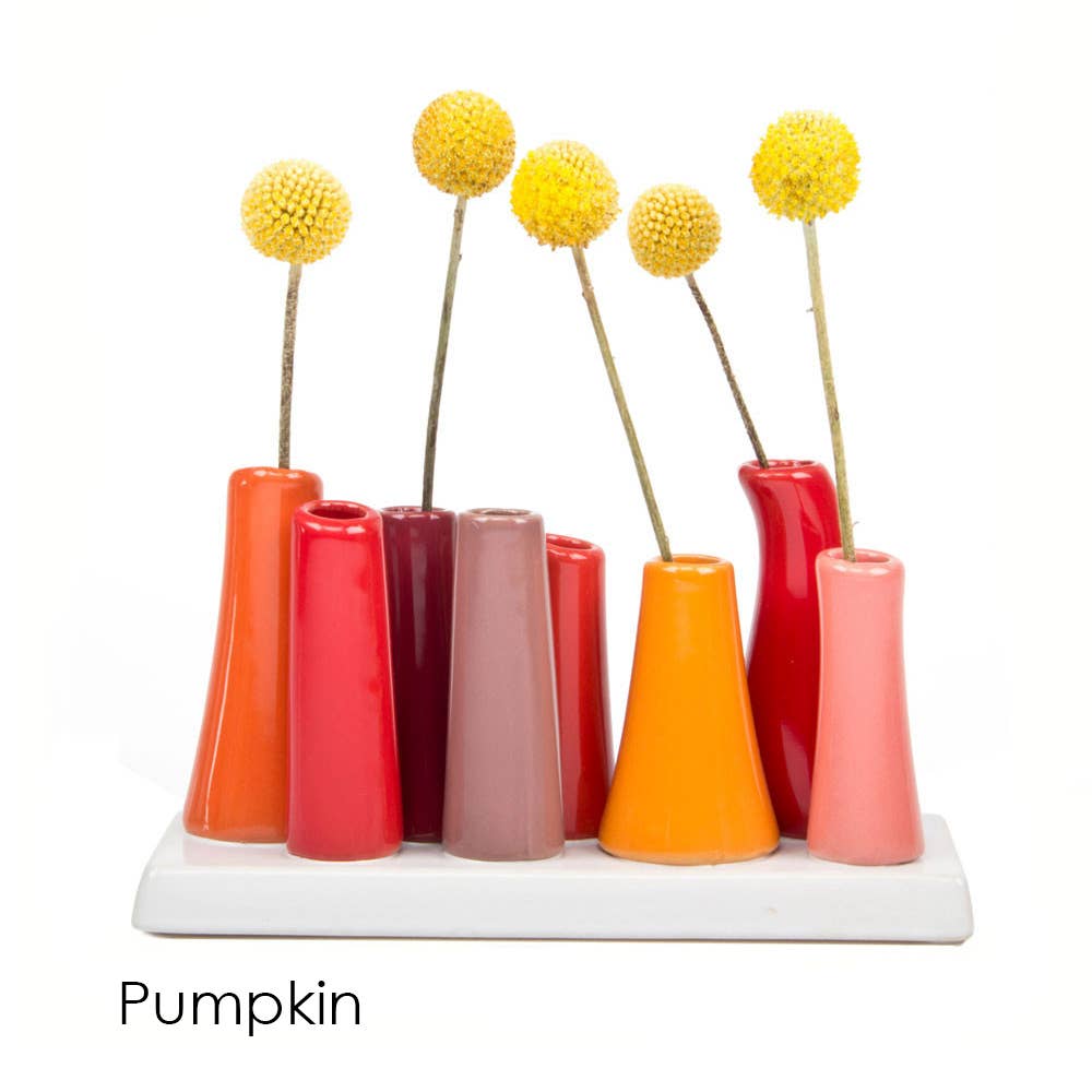 Pooley Colorful Bud Vase For Flower Arranging Rectangular