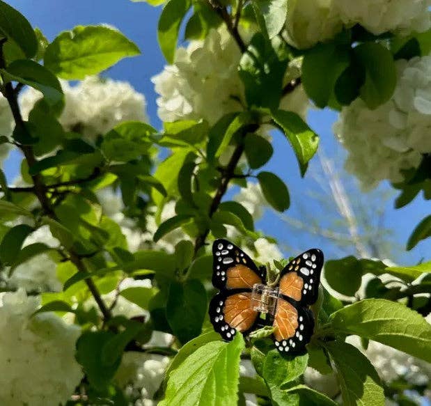 Hand-painted Mini Monarch Butterfly Claw Hair Clip | Eco-Friendly