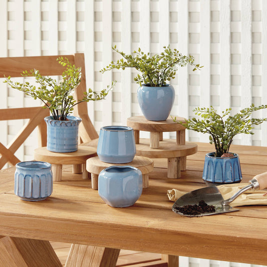 Dezie Mini Pots Set of 6