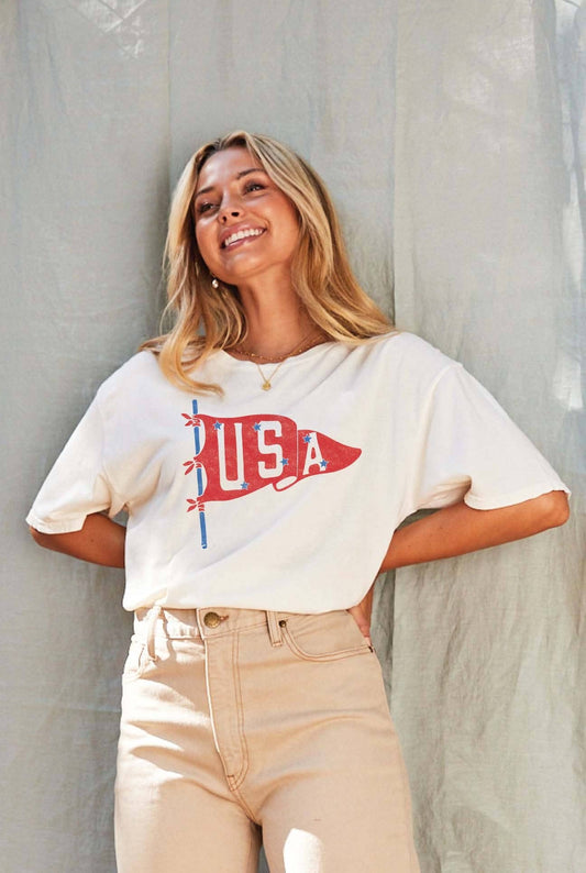 USA Pennant Mineral Washed Graphic Top